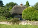 A thatched house